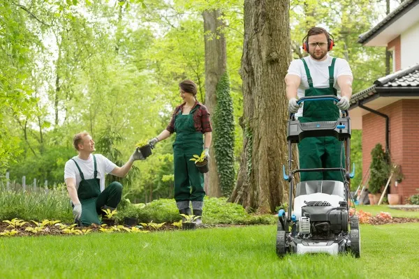 Landscaping Company in Elgin, IL