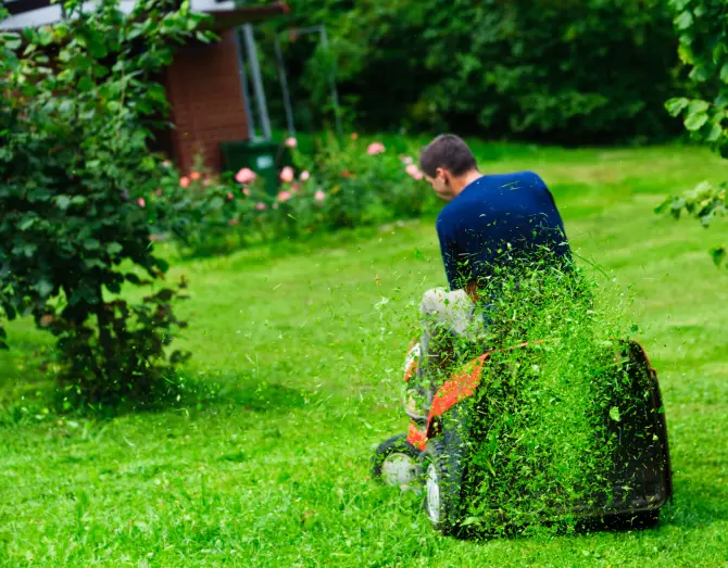 Lawn Mowing in Elgin, IL