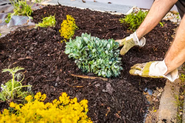 Quality Mulching in Elgin, IL