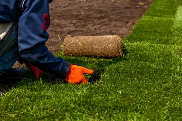 Quality Sod Installation in Elgin, IL