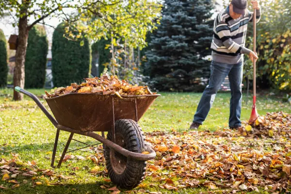 Quality Yard Cleanup in Elgin, IL