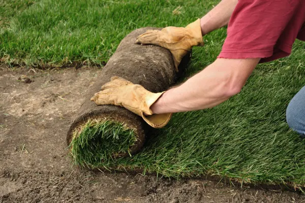 Sod Installation in Elgin, IL