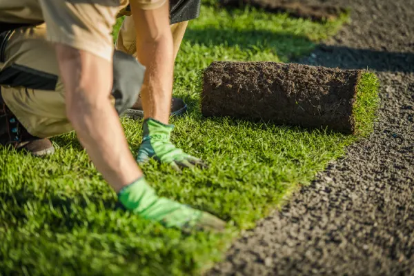 Sod Installation in Elgin, IL