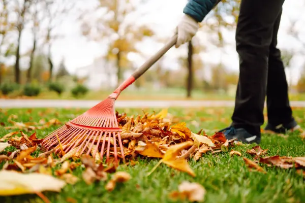 Yard Cleanup in Elgin, IL