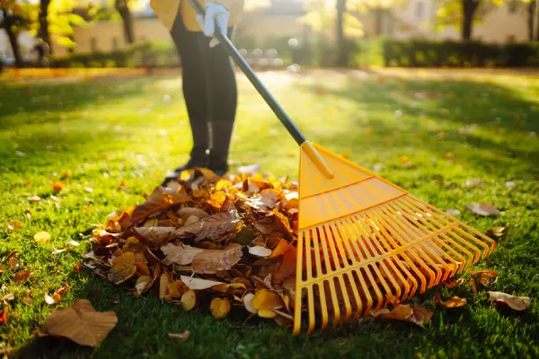 Yard Cleanup in Elgin, IL